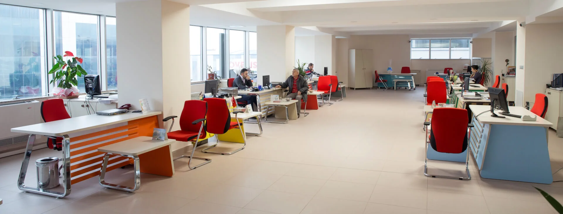 Profesyonel Teknik Destek